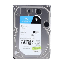 WD101PURAST10000VE001