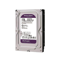 WD11PURZST1000VX013
